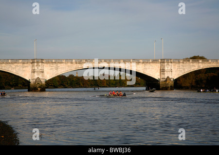 I canottieri sul Fiume Tamigi a Chiswick Bridge, Chiswick, London, Regno Unito Foto Stock