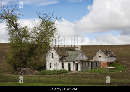 Abbandonato homestead, Est Stato di Washington, USA Foto Stock