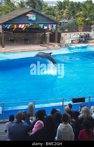 Spettacolo di Delfini al Ushaka Marine World, Durban, KwaZulu-Natal, Sud Africa Foto Stock