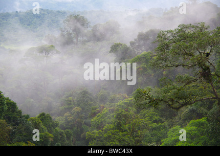 Sollevamento della nebbia sulla foresta pluviale a Arenal ponti sospesi, Alajuela in Costa Rica. Foto Stock