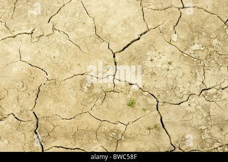 Dettaglio del campo di terra cotta dopo un lungo periodo di siccità. Foto Stock