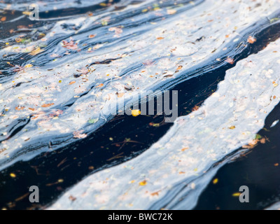 Acqua di fiume inquinamento - messa a fuoco selettiva Foto Stock