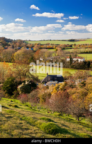 Autunno vista da Marleycombe collina sopra il villaggio di Wiltshire di Bowerchalke, England, Regno Unito Foto Stock