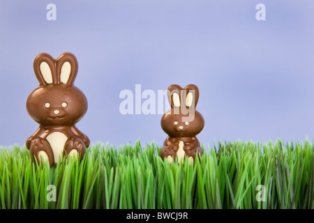 Studio shot di cioccolato di Pasqua coniglietti in erba Foto Stock