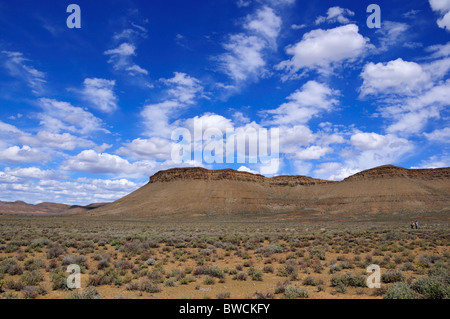 Il paesaggio del deserto in Karoo bacino. Sud Africa. Foto Stock