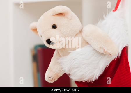 Stati Uniti d'America, Illinois, Metamora, Teddy bear in calza di Natale Foto Stock