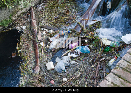 Fiume Stour. Inquinamento. Raccolta di rifiuti in un tessere del centro di Canterbury durante i mesi estivi. Foto Stock