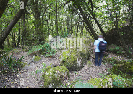 L'uomo escursionismo in Monaco cappottatura della Riserva Naturale, Ukhahlamba-Drakensberg Park, KwaZulu-Natal, Sud Africa Foto Stock