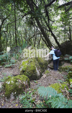 L'uomo escursionismo in Monaco cappottatura della Riserva Naturale, Ukhahlamba-Drakensberg Park, KwaZulu-Natal, Sud Africa Foto Stock