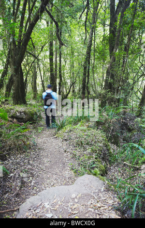 L'uomo escursionismo in Monaco cappottatura della Riserva Naturale, Ukhahlamba-Drakensberg Park, KwaZulu-Natal, Sud Africa Foto Stock