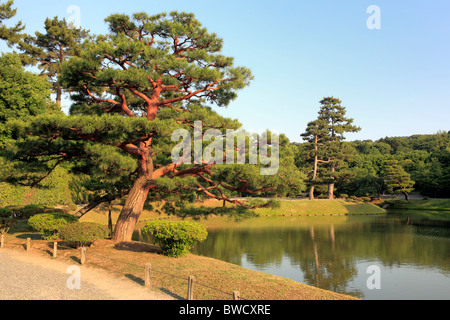 Byodo-in monastero, Phoenix hall (1053), Uji, vicino a Kyoto, Giappone Foto Stock