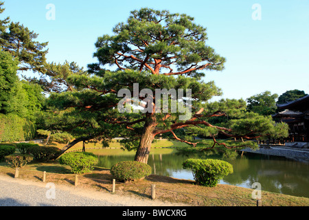 Byodo-in monastero, Phoenix hall (1053), Uji, vicino a Kyoto, Giappone Foto Stock