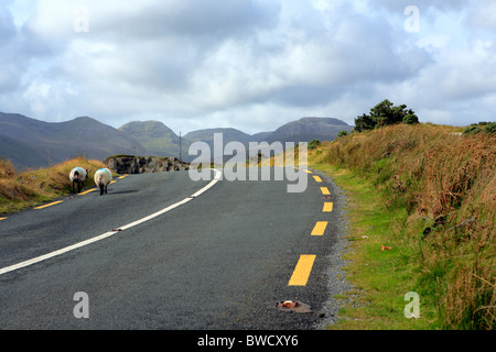 Connemara, Killary Harbour, contea di Galway, Irlanda Foto Stock