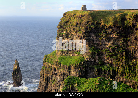 Scogliere di Moher, Clare County, Irlanda Foto Stock