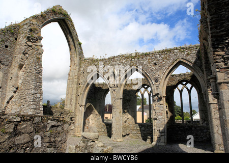 Abbazia francescana (14 secolo), Castledermot, contea di Kildare, Irlanda Foto Stock