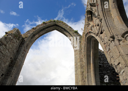 Abbazia francescana (14 secolo), Castledermot, contea di Kildare, Irlanda Foto Stock