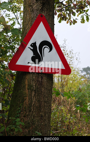 Segno di avvertimento rosso scoiattoli, Whinlatter Pass, Parco Nazionale del Distretto dei Laghi, Cumbria, Inghilterra Foto Stock
