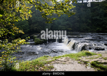 La Upper Falls a Aysgarth nel Yorkshire Dales National Park Foto Stock