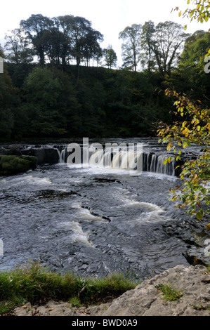 La Upper Falls a Aysgarth nel Yorkshire Dales National Park Foto Stock