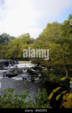 La Upper Falls a Aysgarth nel Yorkshire Dales National Park Foto Stock