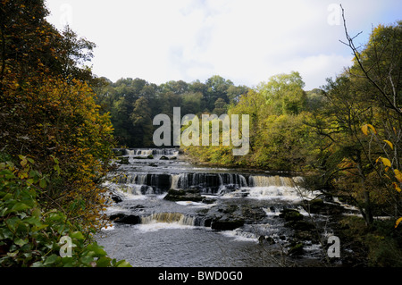 La Upper Falls a Aysgarth nel Yorkshire Dales National Park Foto Stock