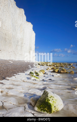 Bianche Scogliere da Birling Gap; East Sussex; Inghilterra; Gran Bretagna Foto Stock