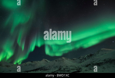 Una potente ondata di Northern Lights (Aurora Boreale) sull'isola Kvaloya vicino a Tromso, Norvegia settentrionale Foto Stock