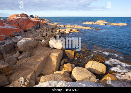 Lichene Rosso coperto le rocce in accogliente angolo nella baia di incendi, Tasmania Foto Stock