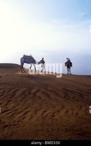 Corsa in cammello nel deserto del Sahara, Merzouga, Marocco Foto Stock
