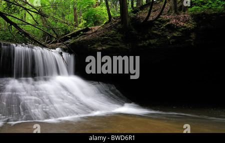 Creazione Falls Cascate Clifty deserto Red River Gorge Area geologica Daniel Boone National Forest Kentucky Foto Stock