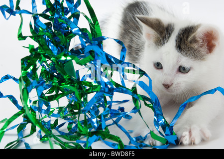 Bianco e Nero gattino giocando in Tinsel Foto Stock