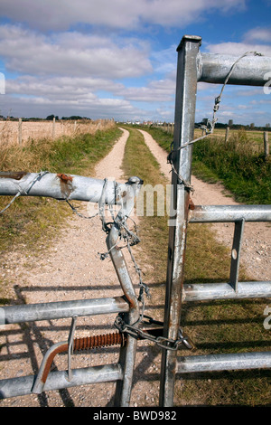 Gli scuotipaglia utilizzando il Poundbury a Maiden Castle sentiero tenta di utilizzare questa fattoria via invece di attraversamento della A35 road. DAVID MANSELL Foto Stock