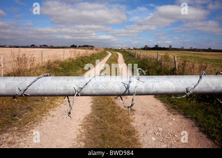 Gli scuotipaglia utilizzando il Poundbury a Maiden Castle sentiero tenta di utilizzare questa fattoria via invece di attraversamento della A35 road. DAVID MANSELL Foto Stock