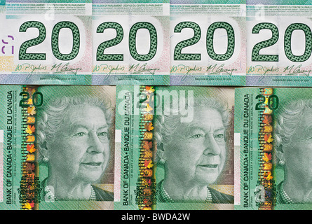 Canadian denaro: close up di banconote da 20 €. Foto Stock