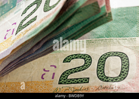 Canadian denaro: close up di banconote da 20 €. Foto Stock