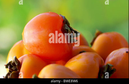 Caqui maturi frutti su sfondo verde. Foto Stock