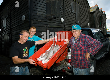 Hastings pescatori di portare le loro notti' delle catture di merluzzo fresco e della passera di mare nelle cassette per il mercato del pesce in Hastings Old Town SUSSEX REGNO UNITO Foto Stock