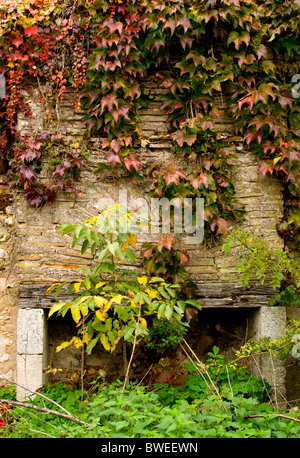 Il vecchio camino in rovina casa incorniciato con autunno superriduttore Foto Stock