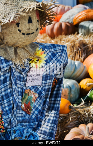 Un adorabile spaventapasseri è circondato da zucche e zucche presso il locale mercato agricolo in autunno. Foto Stock