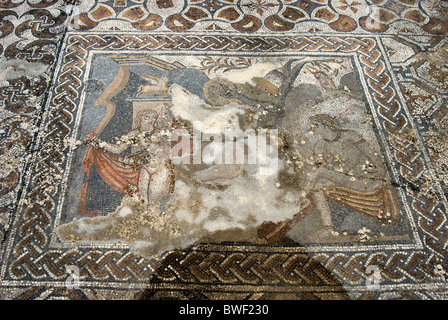 Volubilis, sito archeologico romano in Marocco. Il bagno della ninfa mosaico. Foto Stock