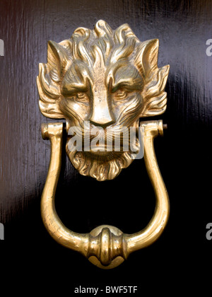 Una porta di ottone respingente in forma di una testa di leone su un nero porta in legno Foto Stock