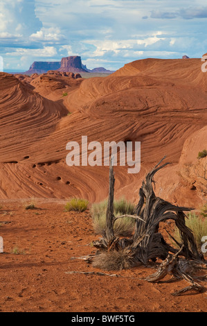 Tipico paesaggio nel mistero Valley, Arizona, Stati Uniti d'America Foto Stock