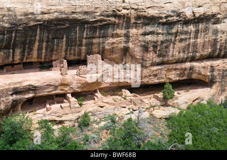 Nuova casa di fuoco, una scogliera dimora del Puebloans ancestrale degli Indiani Americani, circa 1250 anni, il Parco Nazionale di Mesa Verde Foto Stock