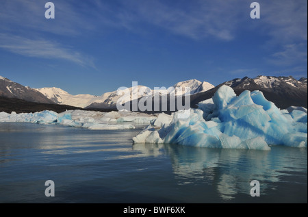 Blue ice-berg, Visualizzazione di piani di taglio, riflettendo in acque cristalline del Lago Argentino, Upsala Glacier Ice-campo, Patagonia Foto Stock