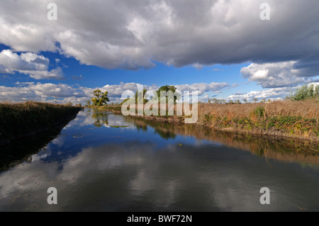 Canale di irrigazione per campi agricoli nella regione del Delta, Central Valley, California. Foto Stock