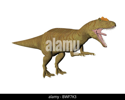 3D illustrazione del dinosauro Allosaurus Foto Stock