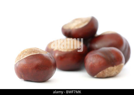 Le castagne su sfondo bianco con una castagna in primo piano Foto Stock