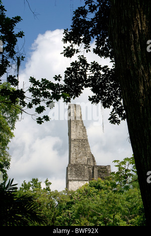Tempio IV incorniciata dagli alberi, le rovine maya di Tikal, El Petén, Guatemala. Tikal è un sito Patrimonio Mondiale dell'UNESCO. Foto Stock