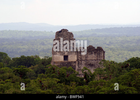 Tempio che io e il Tempio II dalla cima del tempio IV, Tikal, El Petén, Guatemala. Tikal è un sito Patrimonio Mondiale dell'UNESCO. Foto Stock