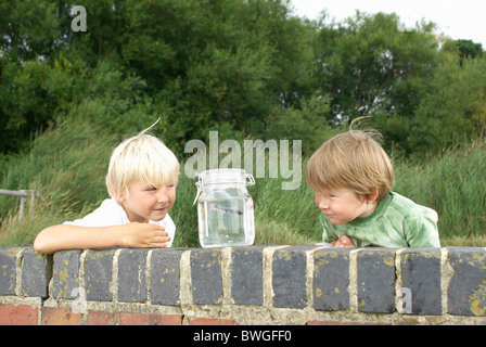 Due giovani ragazzi guardando il pesce in un vaso Foto Stock